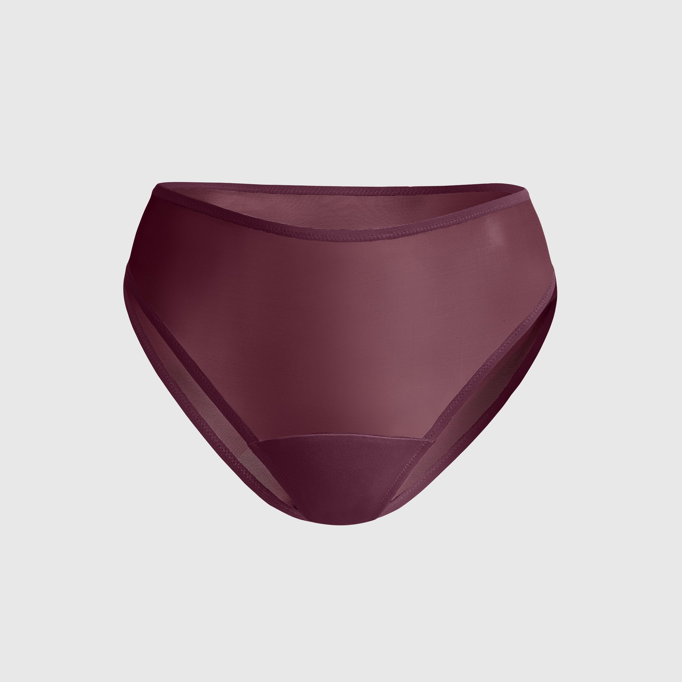 Sheer brief underwear, high coverage silhouette