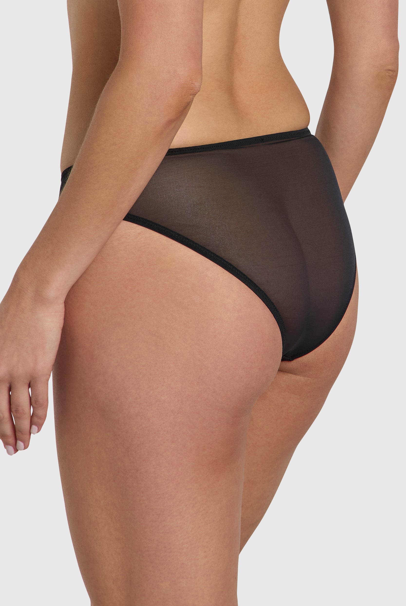 Sheer brief underwear for full coverage.