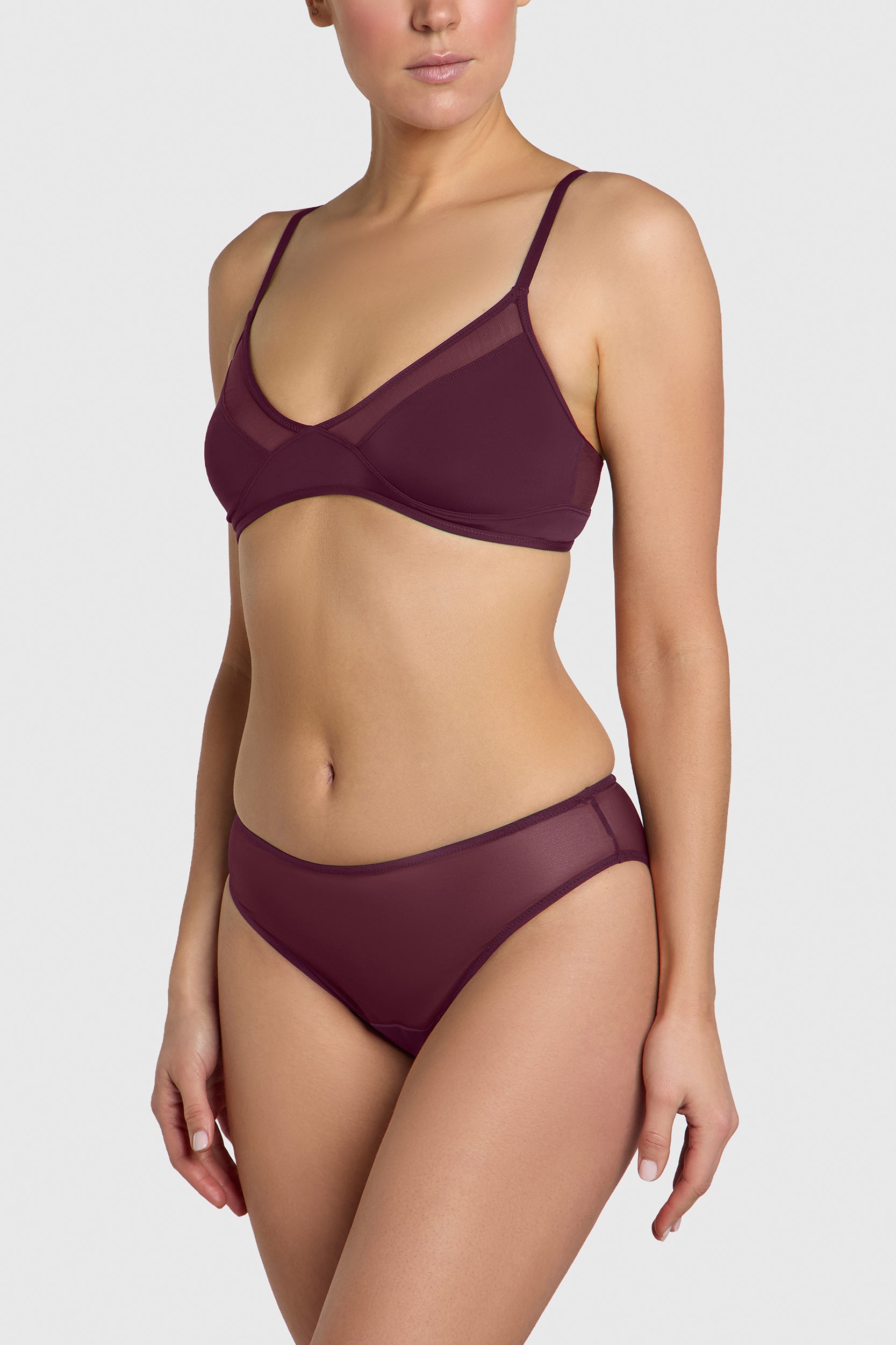 Sheer brief underwear, high coverage silhouette