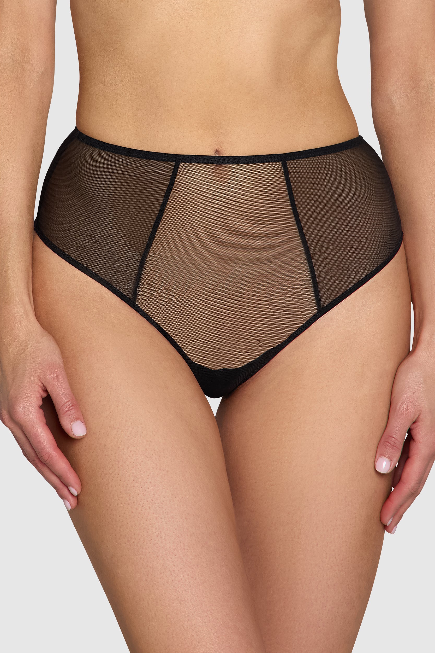 Anna Sheer Mesh High Waist Brief