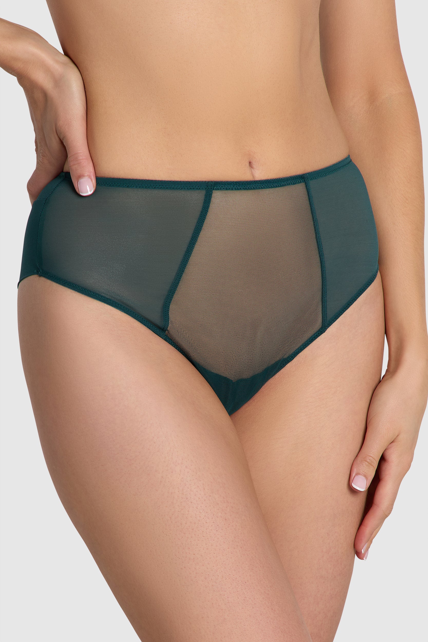 Anna Sheer Mesh High Waist Brief Dark