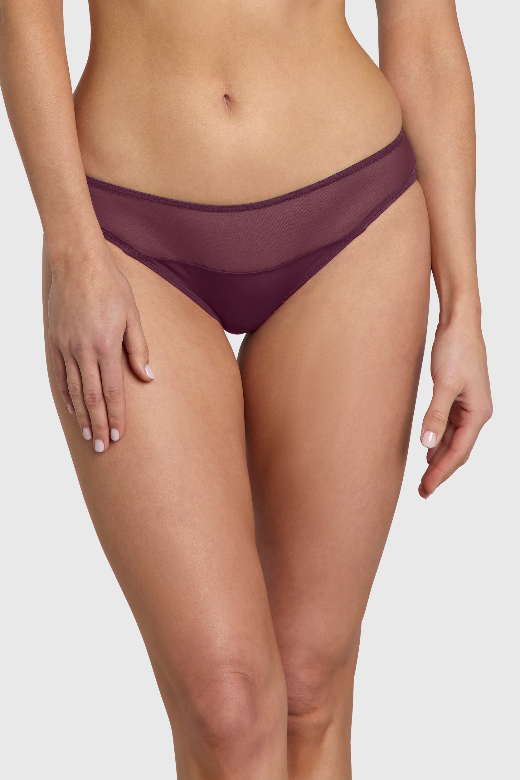 Sheer Brazilian Brief
