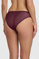 Sheer brief underwear, high coverage silhouette
