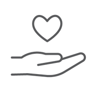 The Bare Nude Sheer Tights